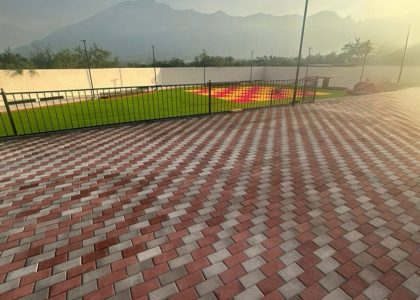 Holandes_PDP_01