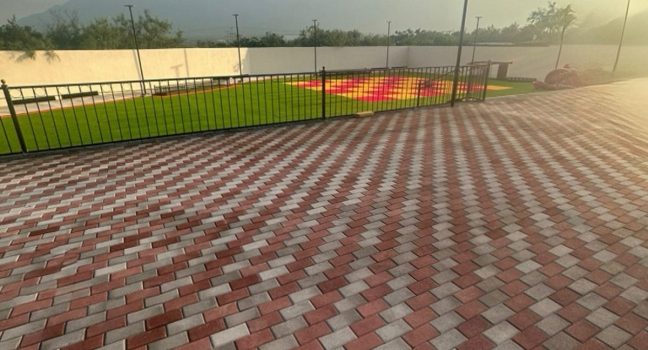 Holandes_PDP_01